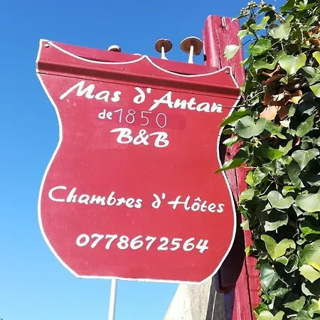 Mas D'antan *